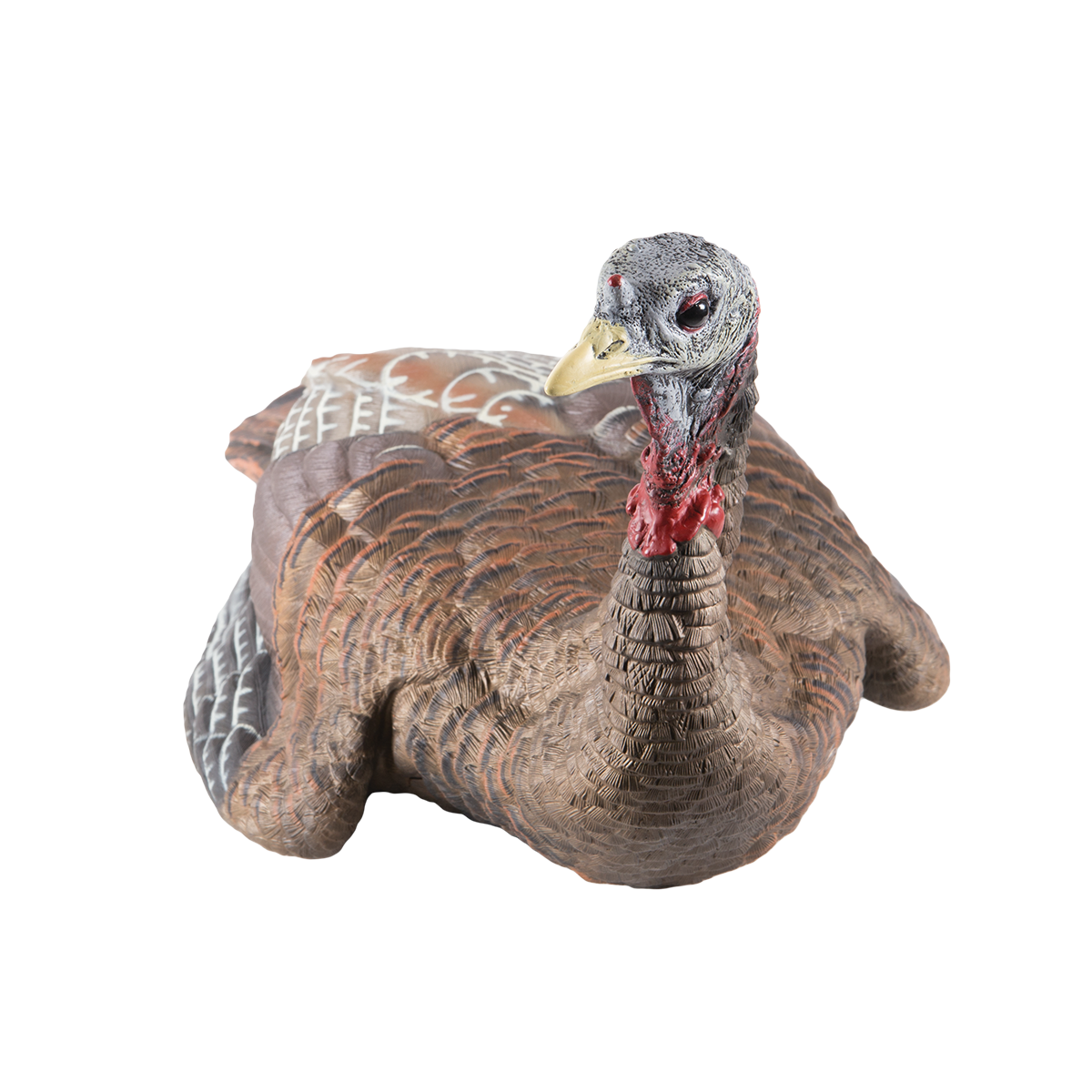 LCD Laydown Hen