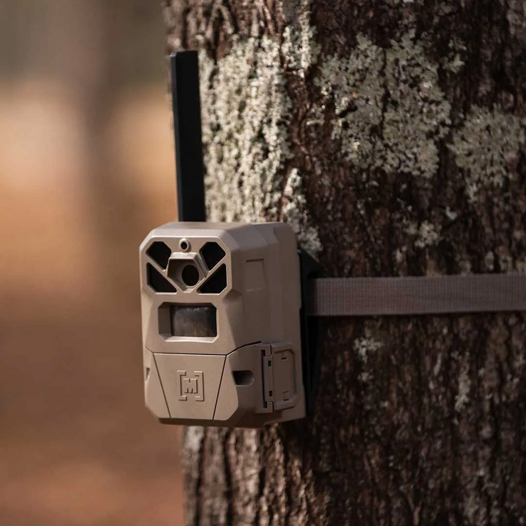 EDGE 2 Cellular Trail Camera - 3 Pack