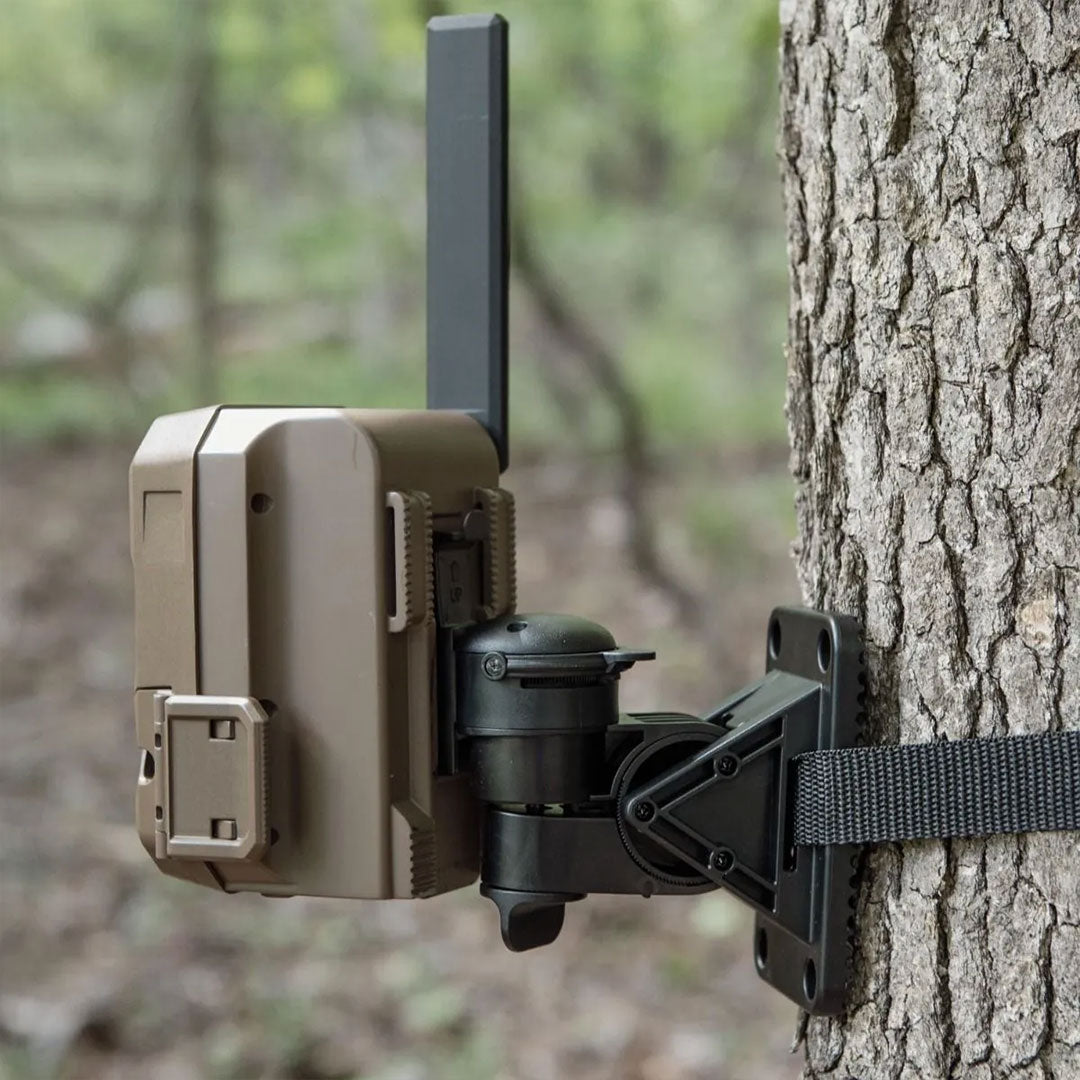 EDGE Series Flex Mount 2
