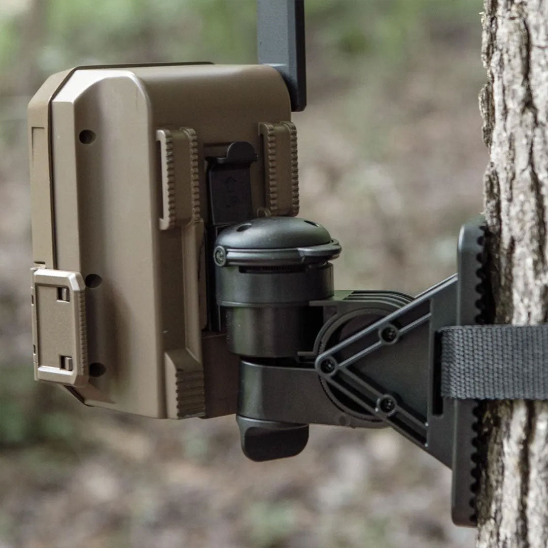 EDGE Series Flex Mount 2