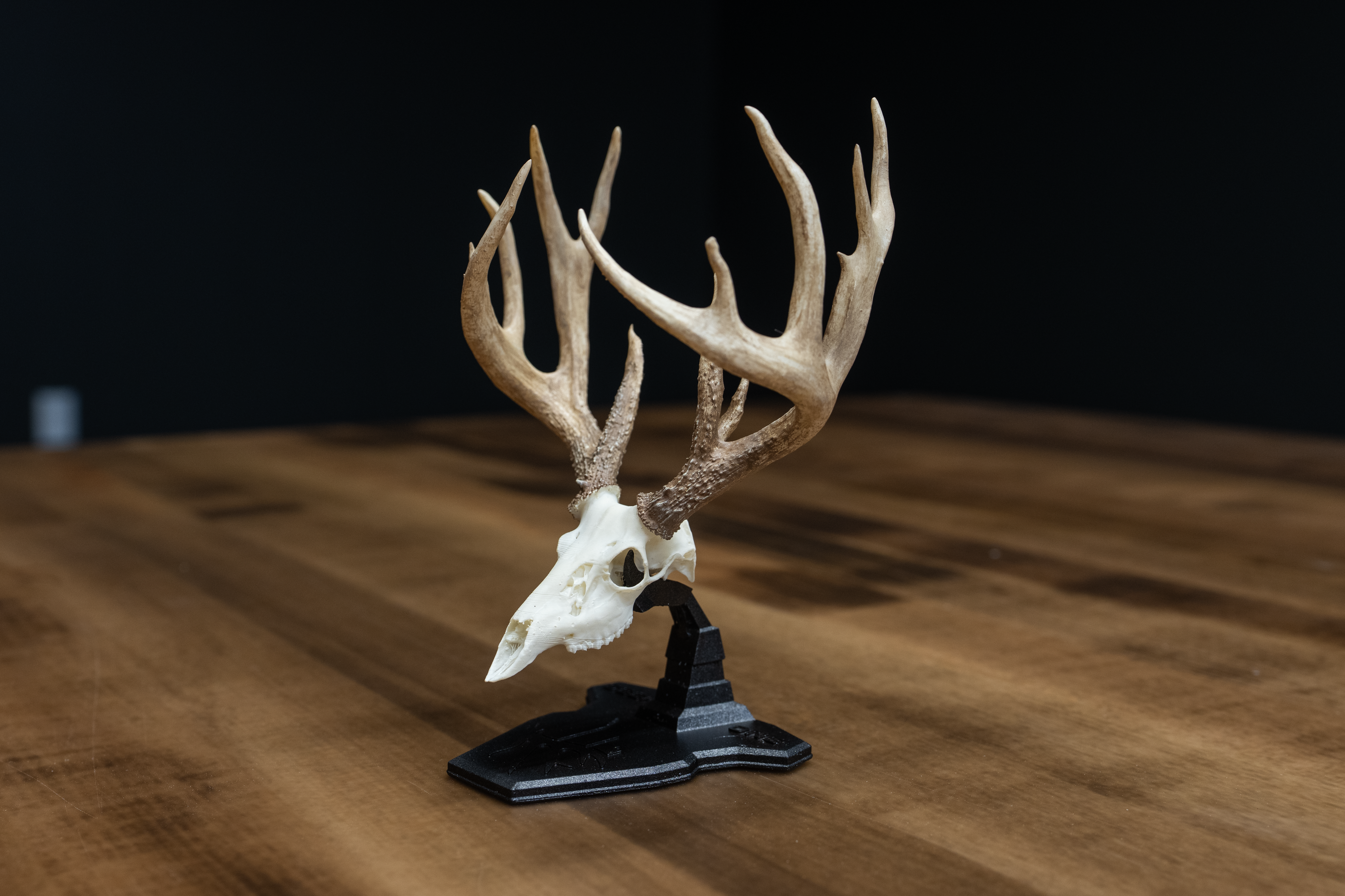 Mini Mount Replica -"The Ohio Giant"