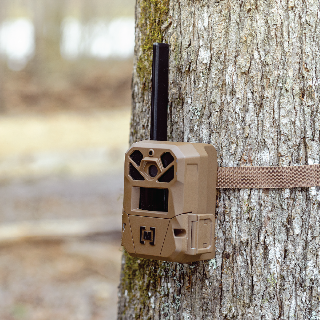 Edge 3 Cellular Trail Camera