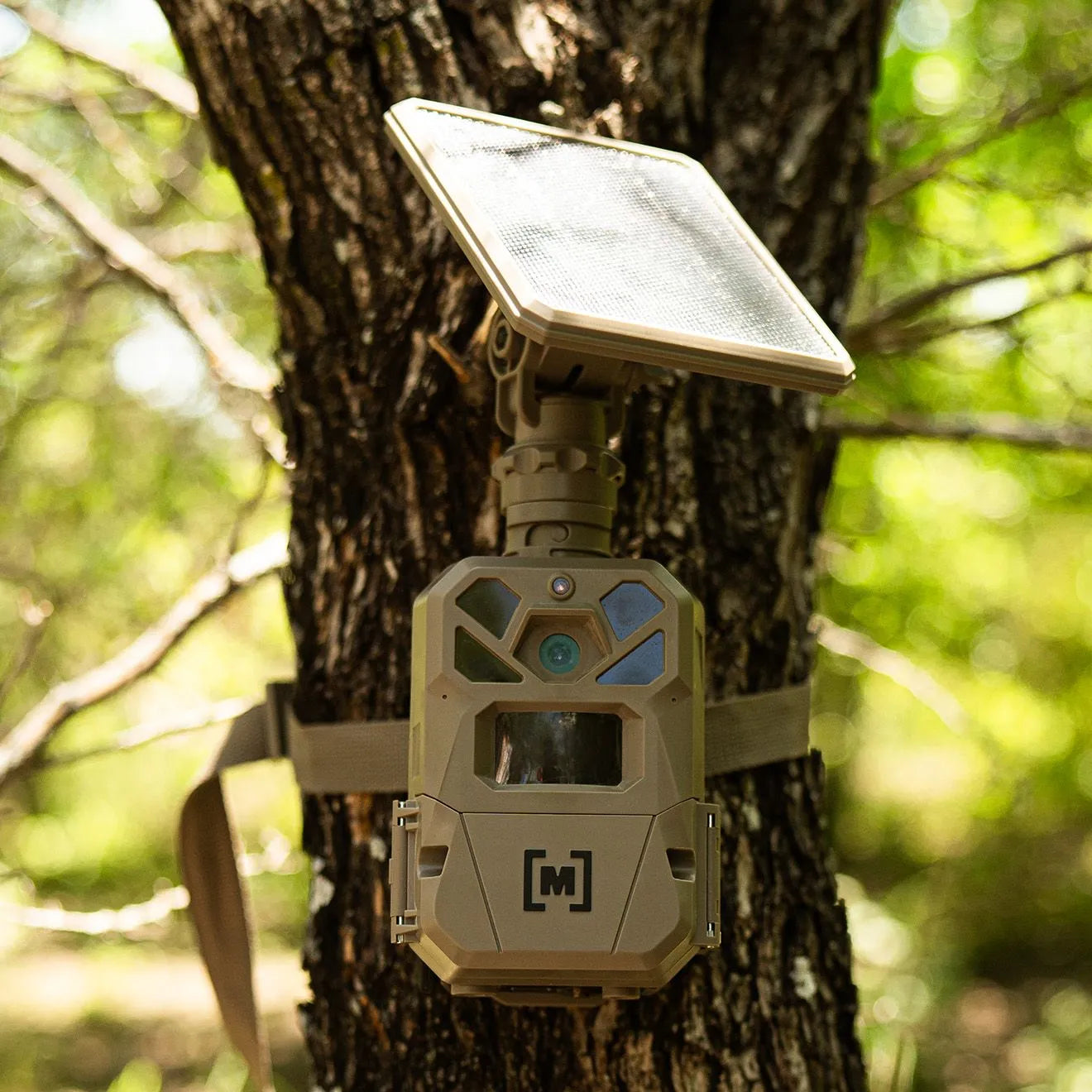 Edge Solar Cellular Trail Camera