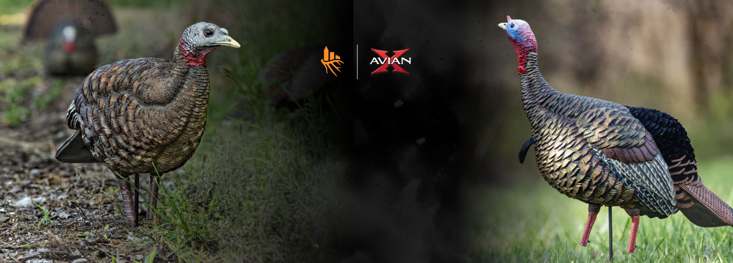 Avian-X Decoys