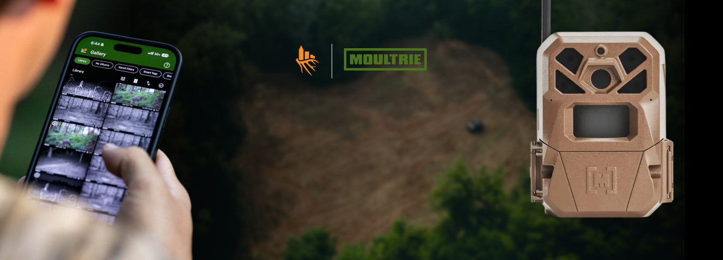 Moultrie Cameras