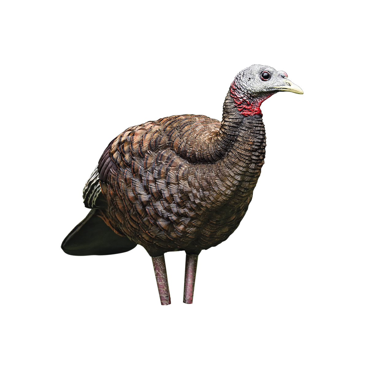 LCD Breeder Hen Decoy