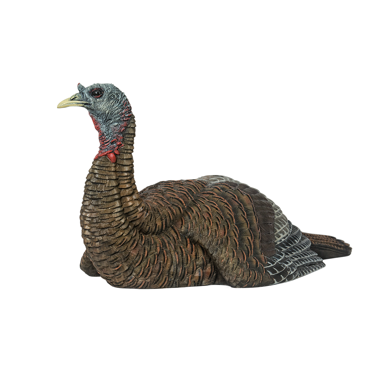 LCD Laydown Hen
