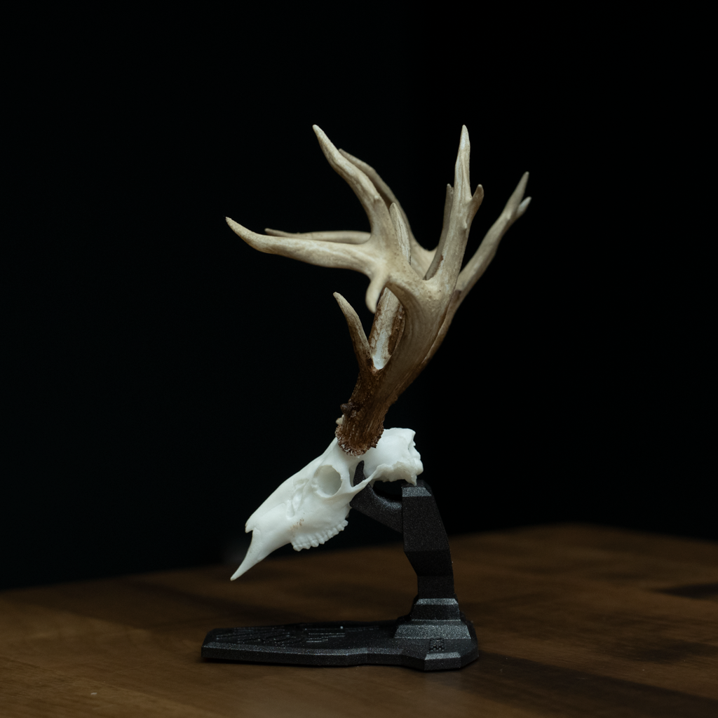 Mini Mount Replica -"Big Brow"