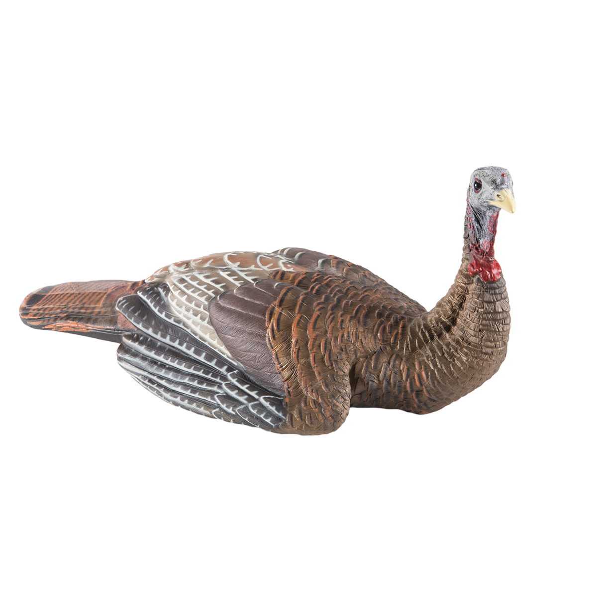 LCD Laydown Hen