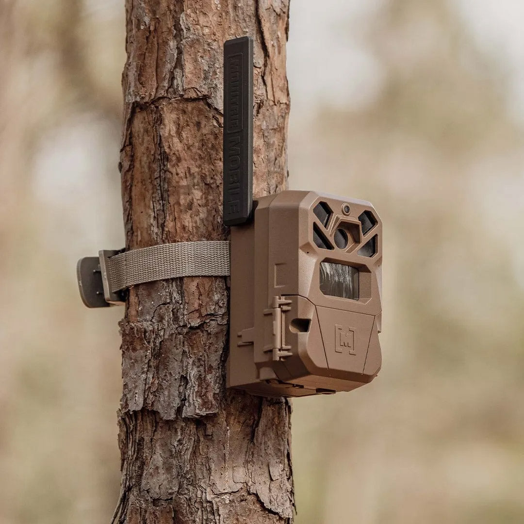 EDGE 2 Cellular Trail Camera - 3 Pack