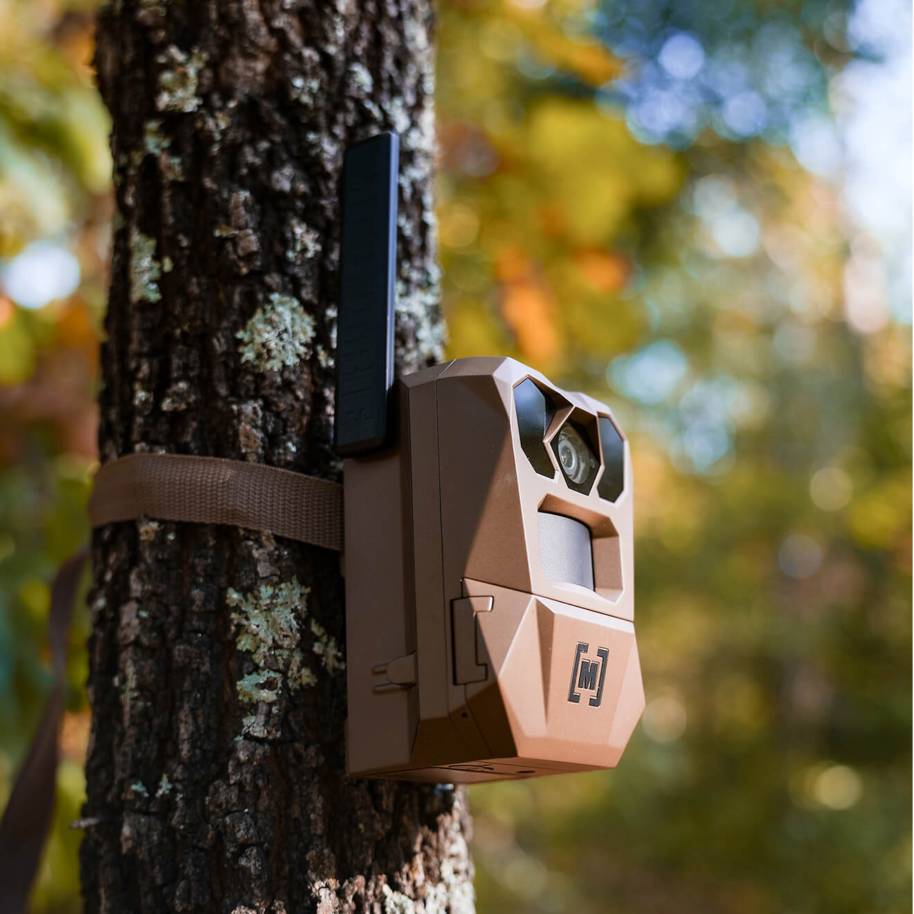 Edge 4 Cellular Camera