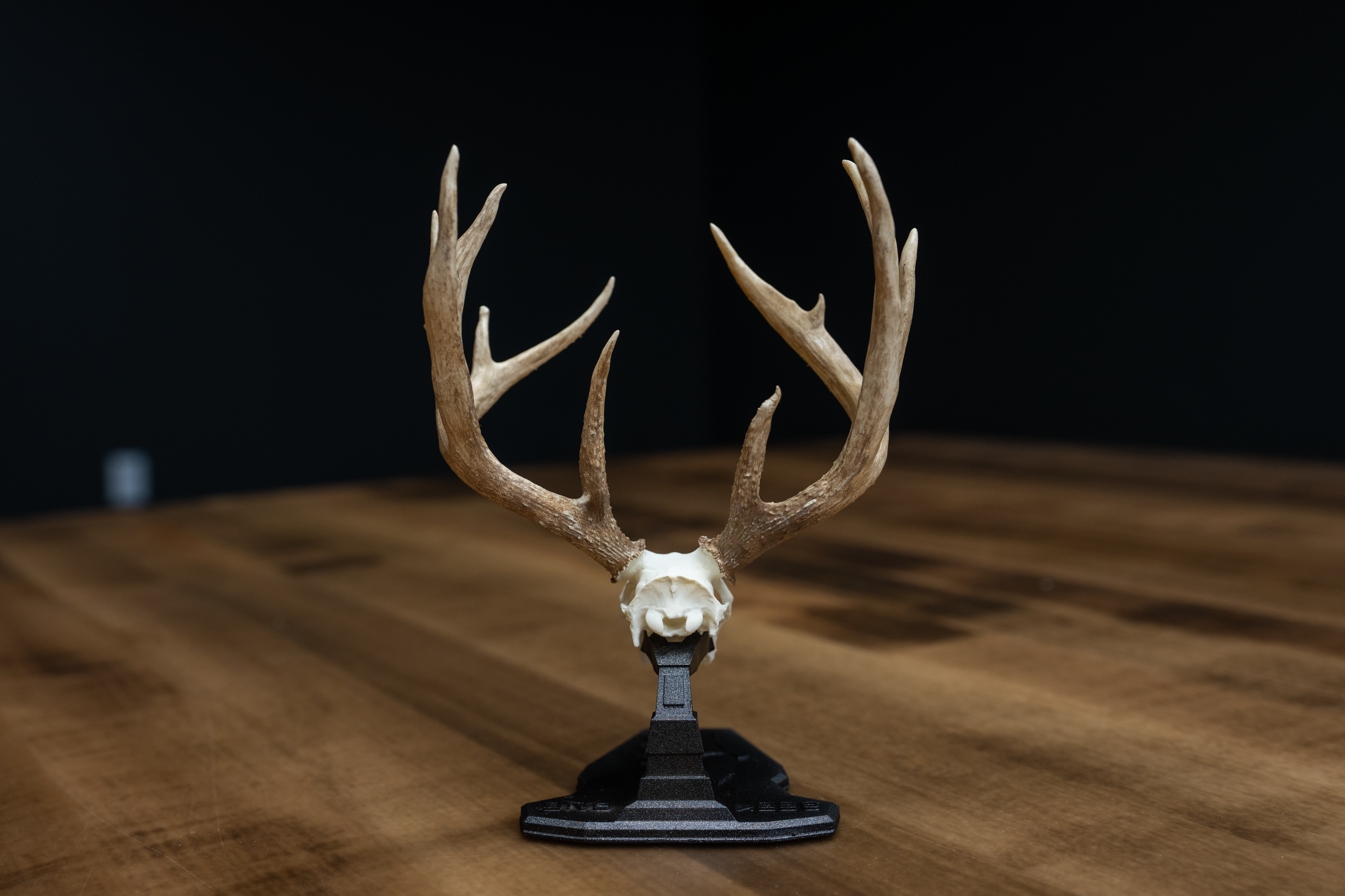 Mini Mount Replica -"The Ohio Giant"