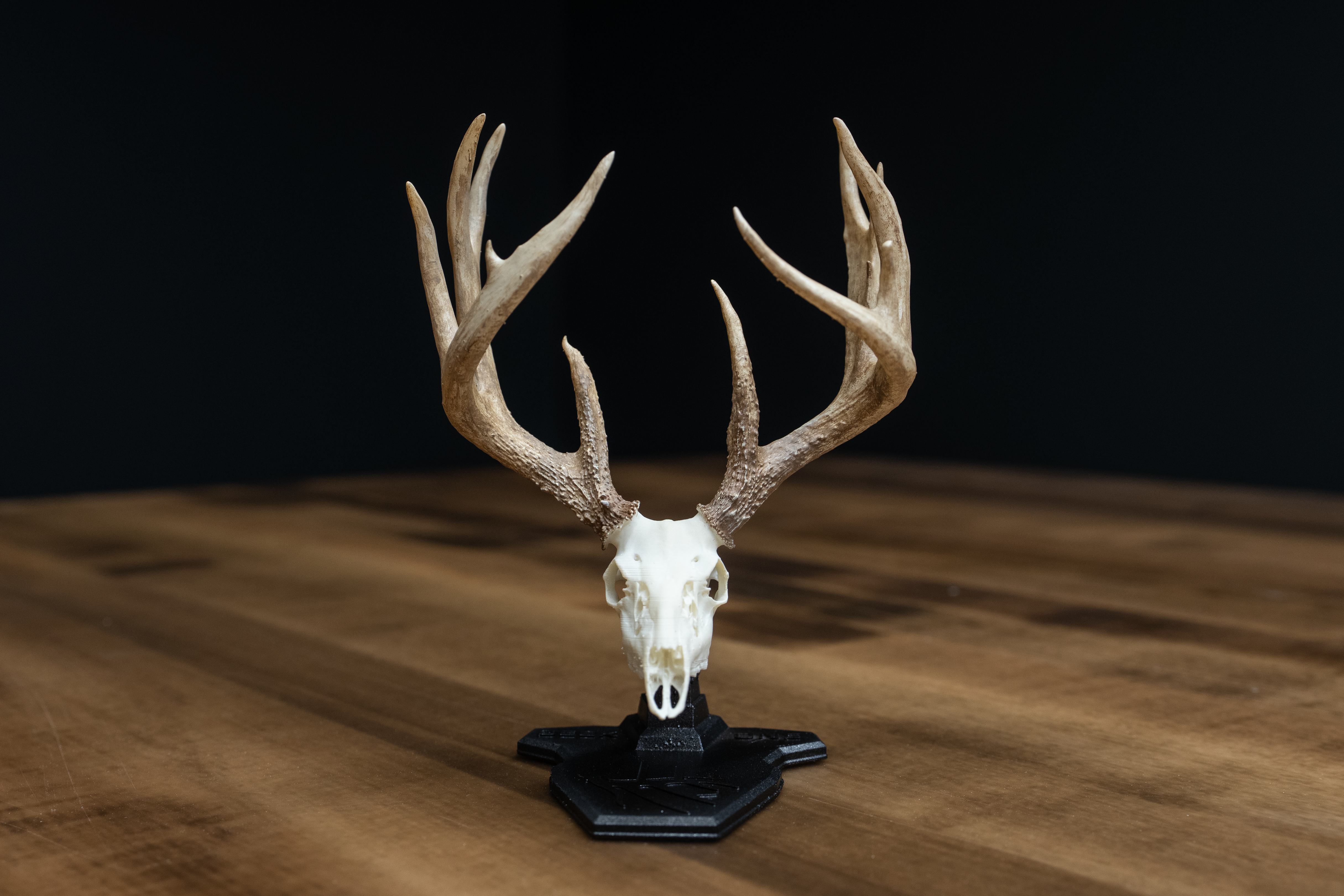 Mini Mount Replica -"The Ohio Giant"