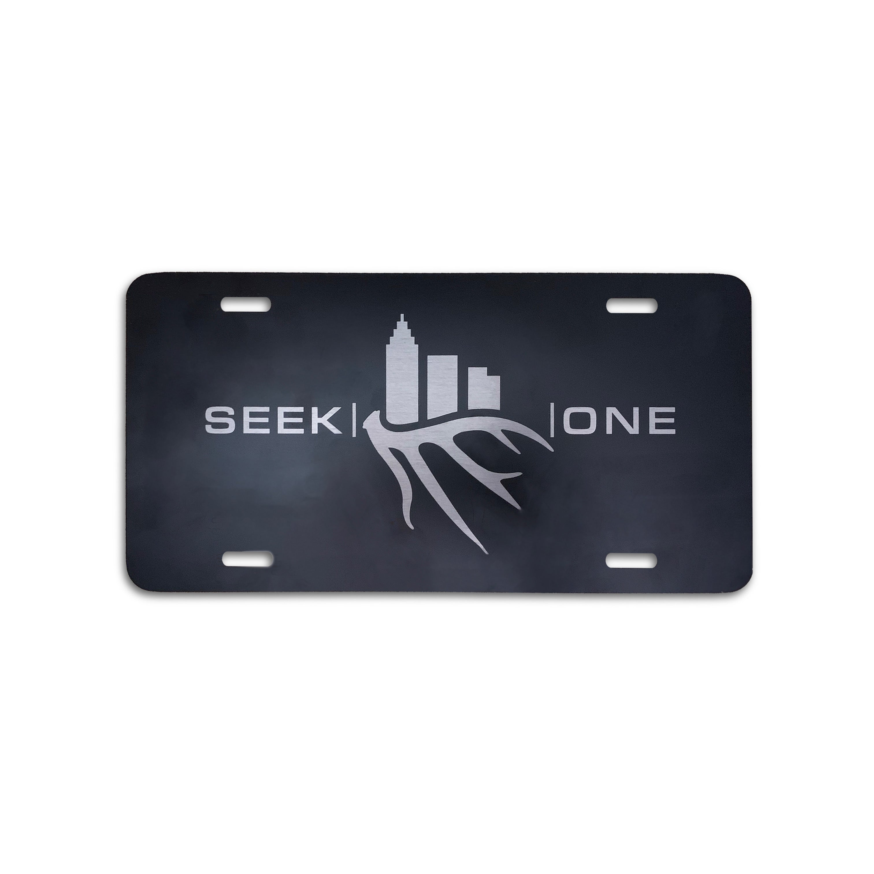 Brushed Aluminum License Plate